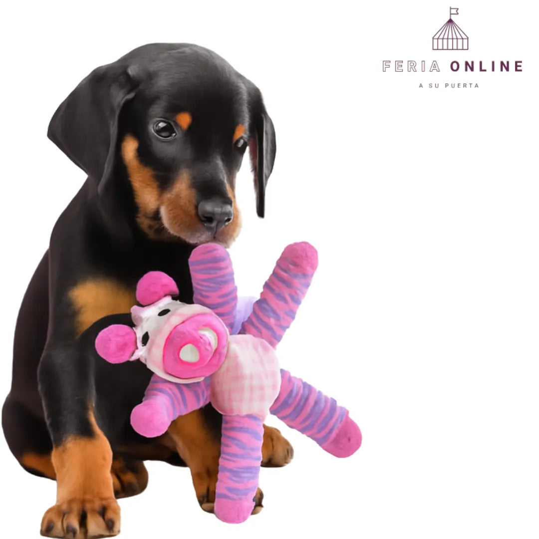 Juguetes Para Perros