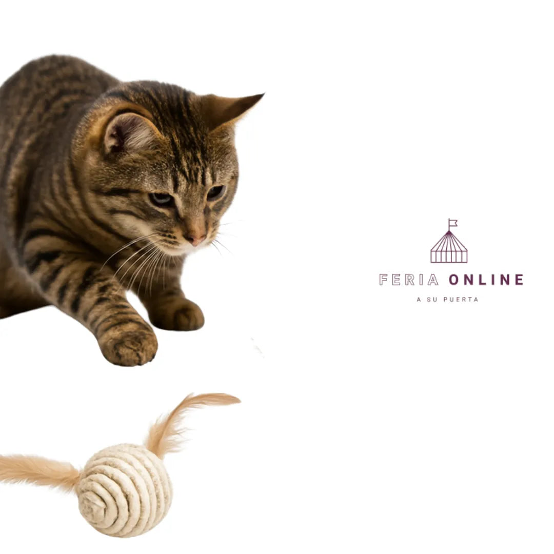 Pelota Para Gato En Sisal Con Pluma