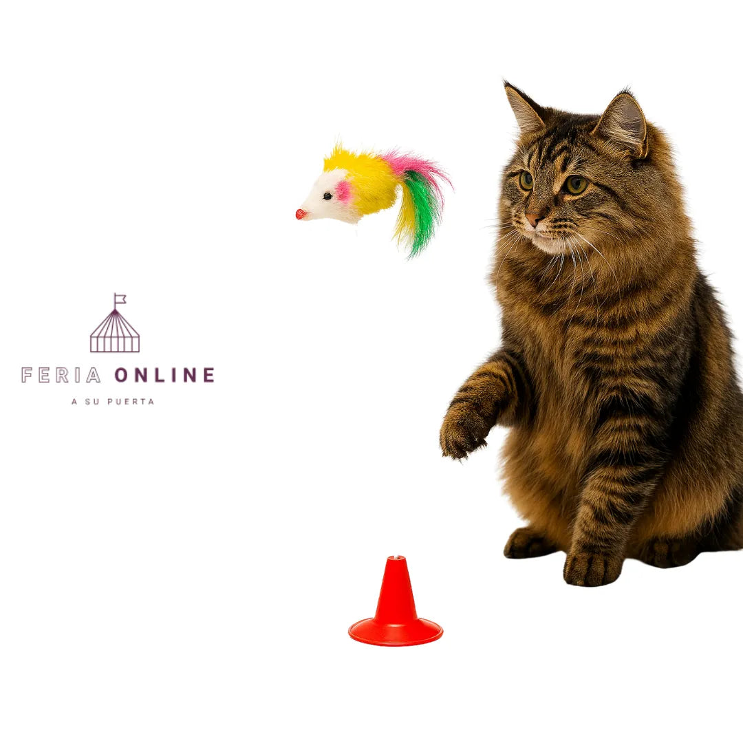 Juguete Chupa Para Gato