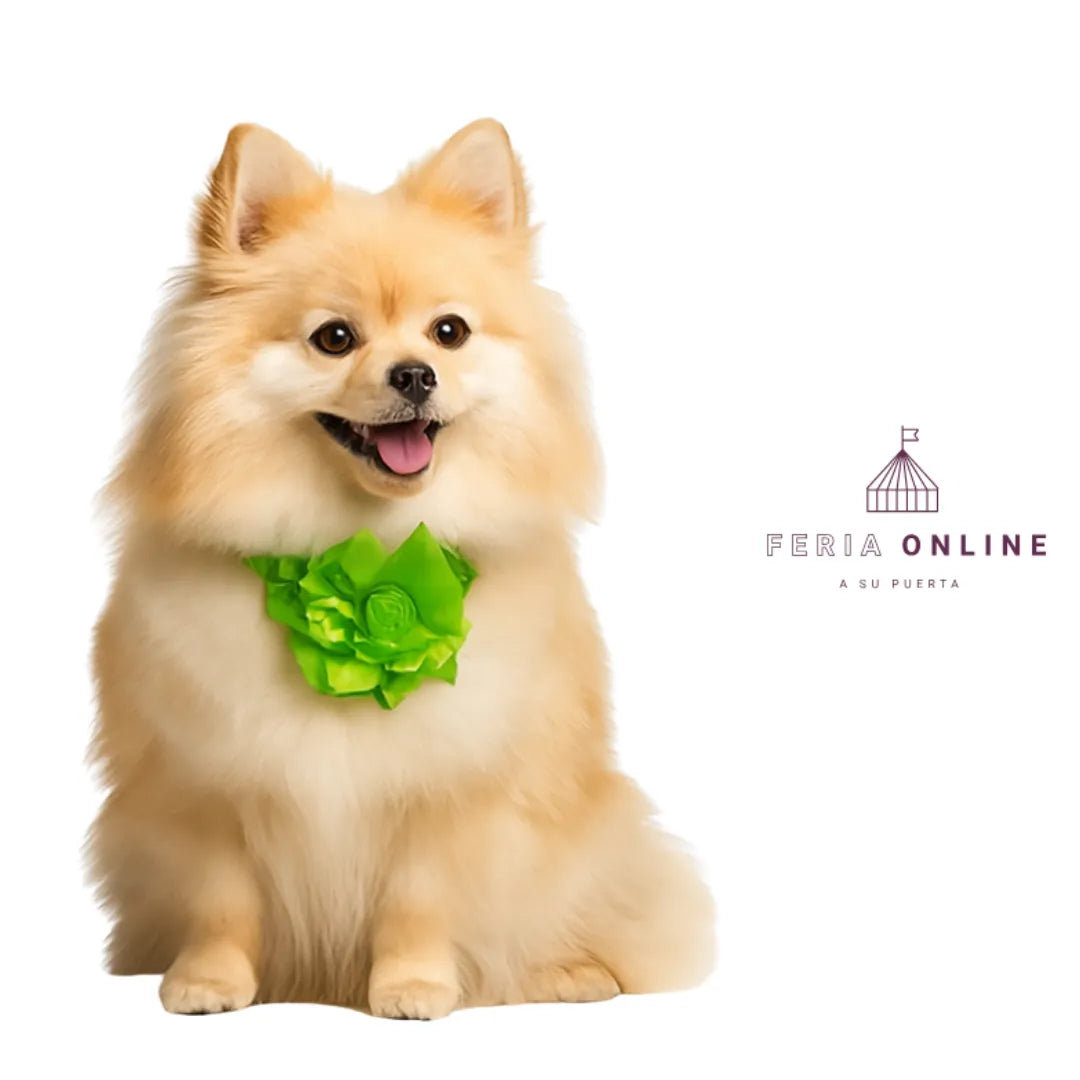 Collar Con Moño Para Perros