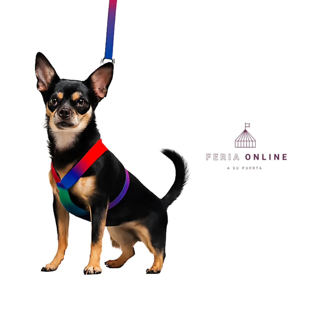 Arnes Multicolor