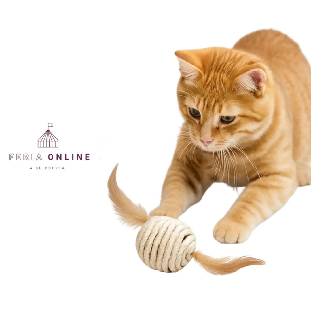 Pelota Para Gato En Sisal Con Pluma