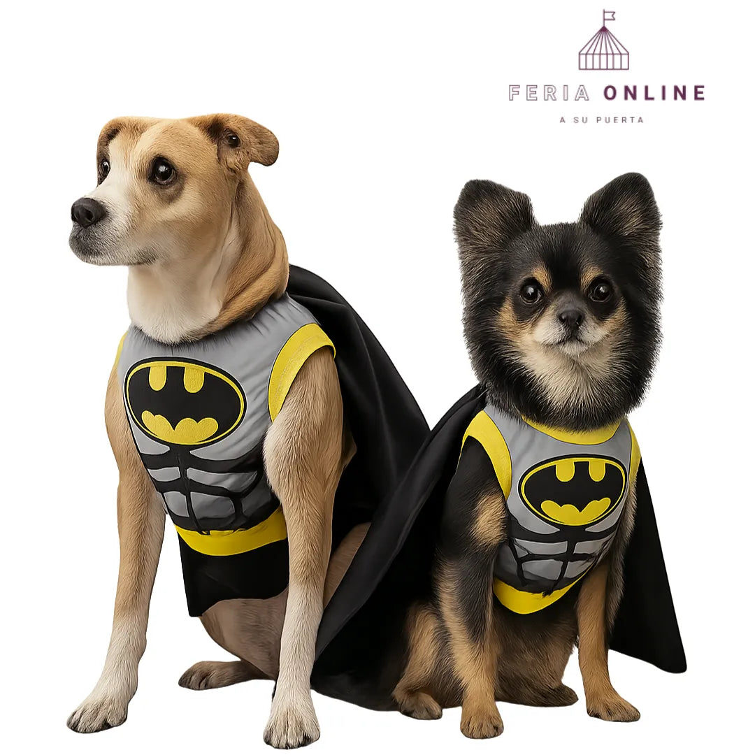 Disfraz Batman