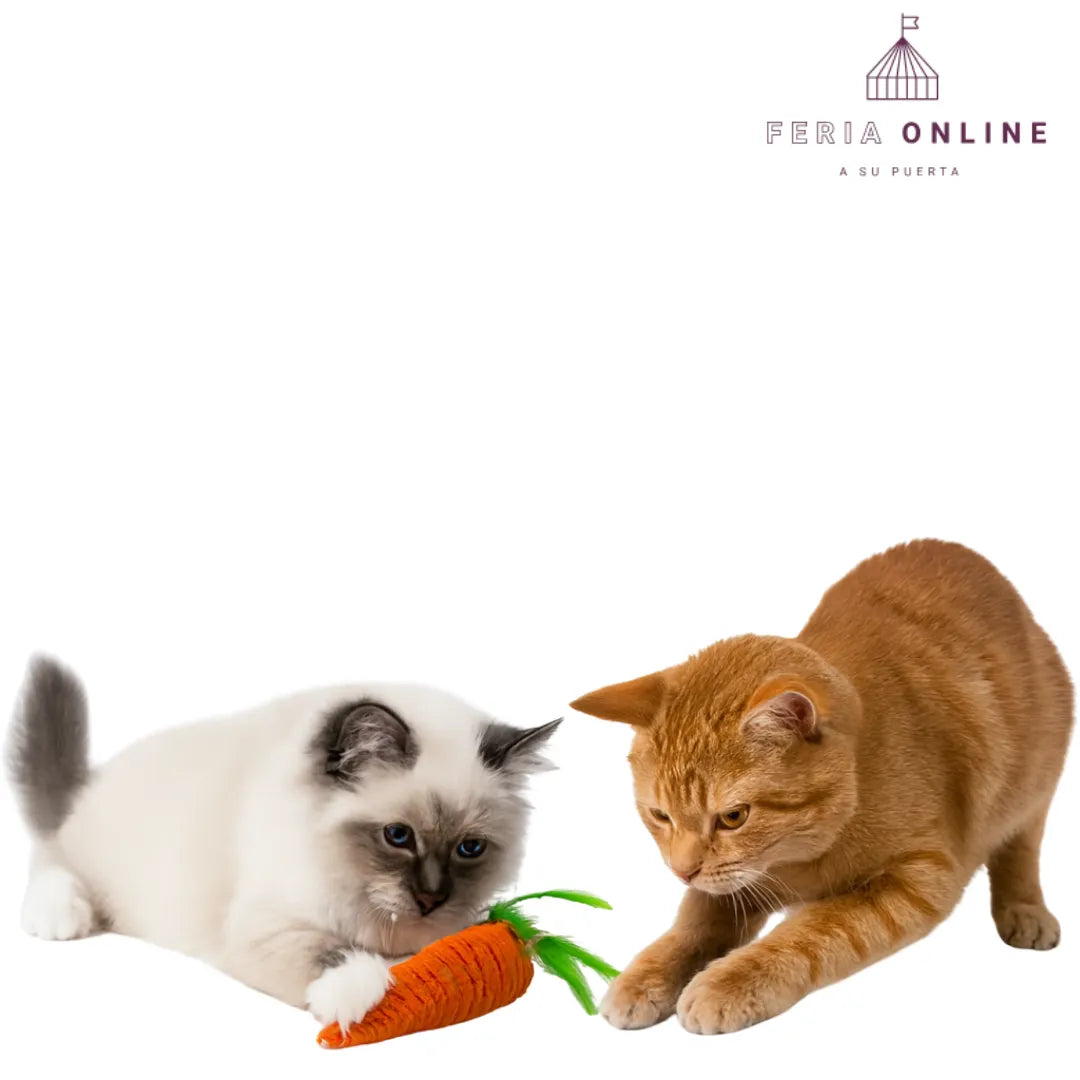 Juguetes Para Gatos