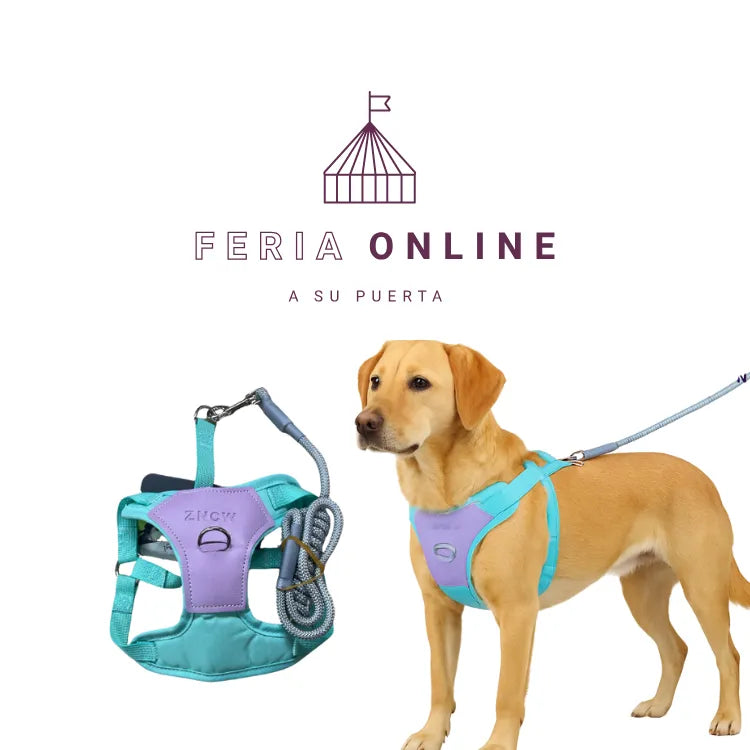 Pecheras Medianas Para Mascota