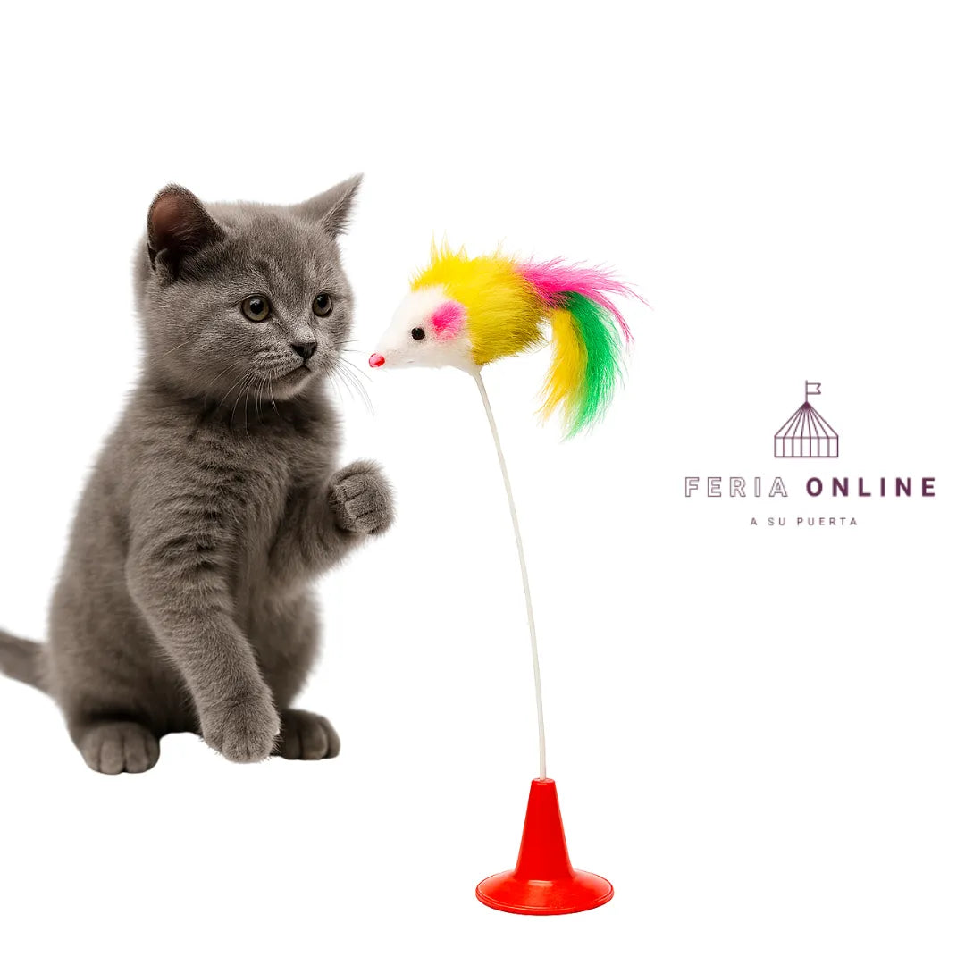 Juguete Chupa Para Gato