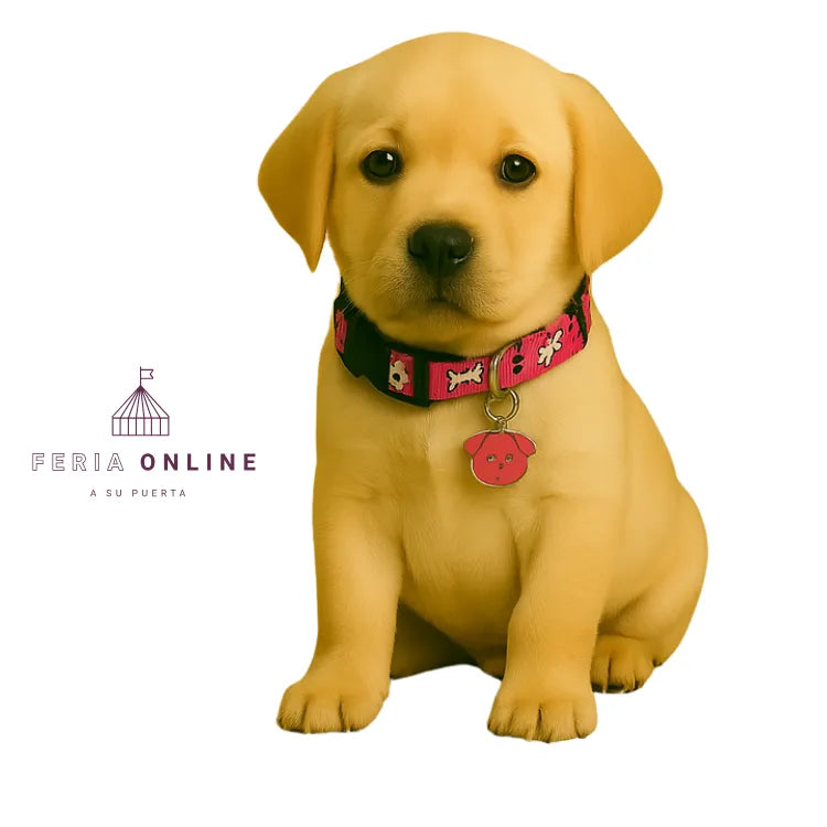 Cuello 3/4 Para Mascotas