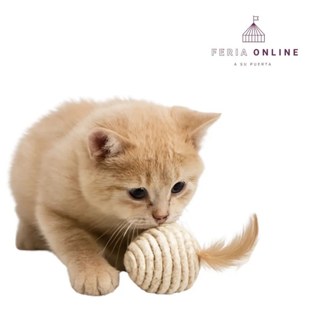 Pelota Para Gato En Sisal Con Pluma