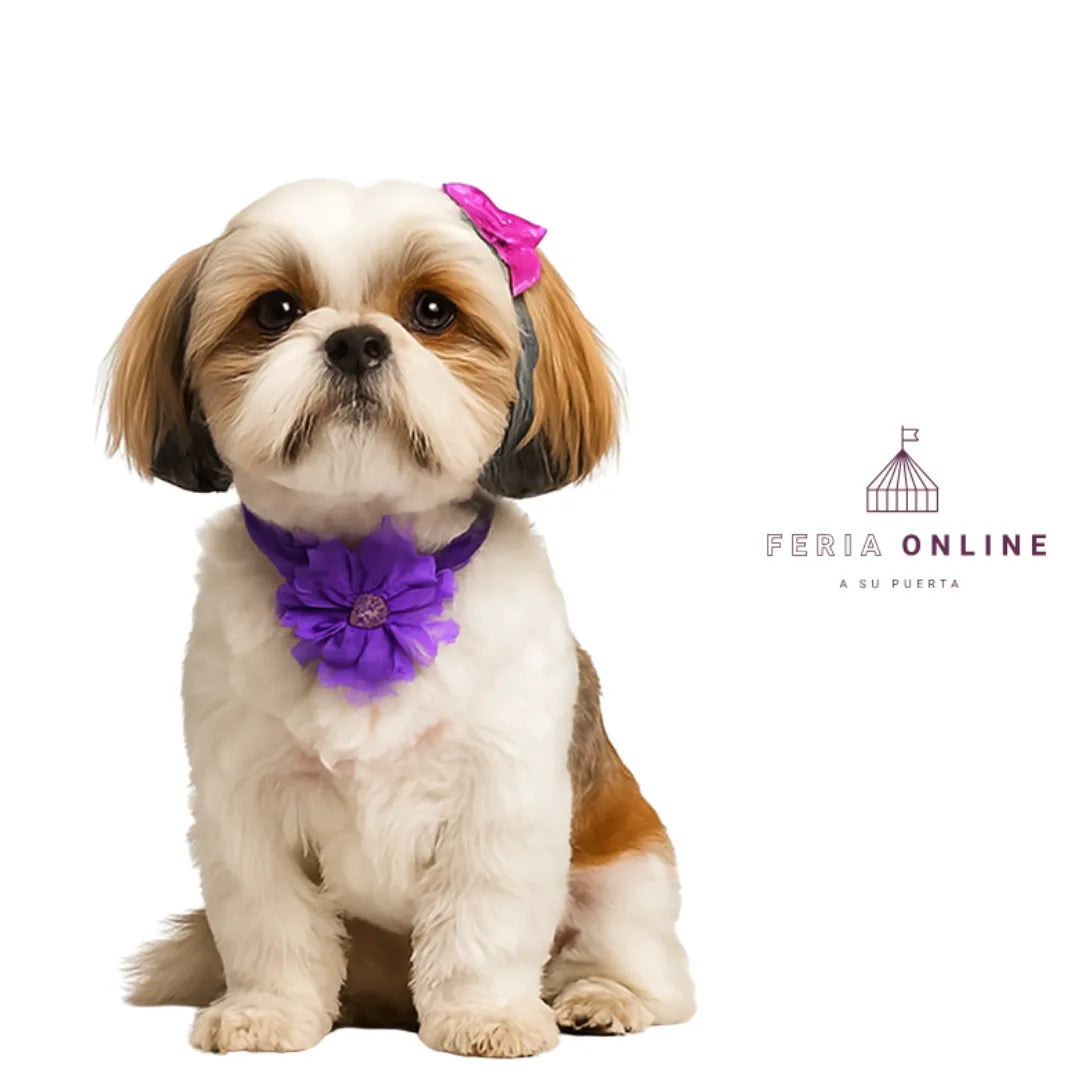 Collar Con Moño Para Perros
