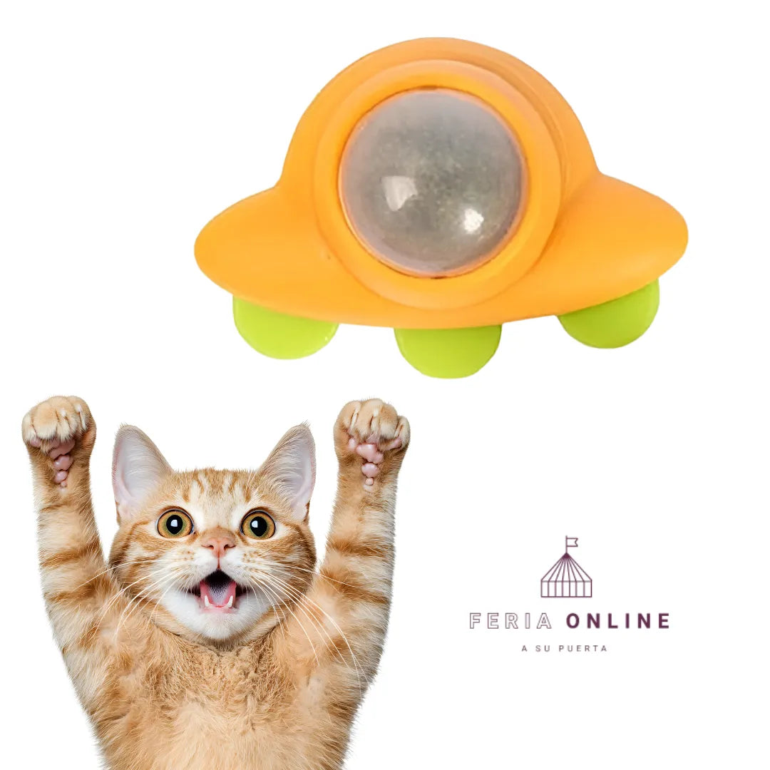Catnip Para Gatos
