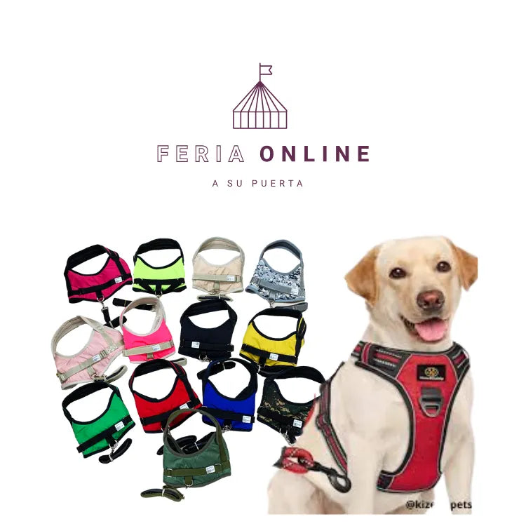 Pechera para Perros con Triadilla
