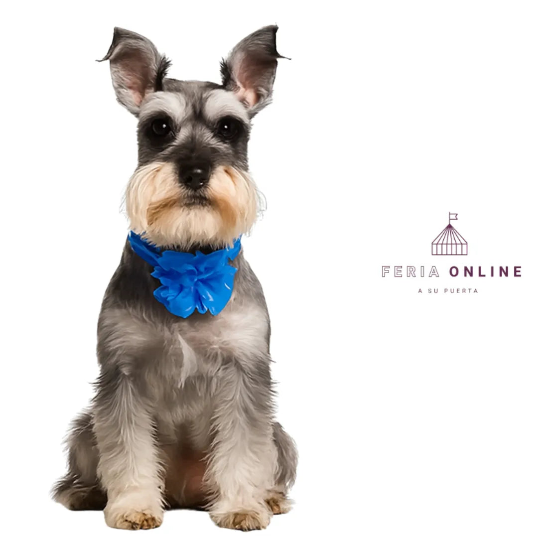 Collar Con Moño Para Perros