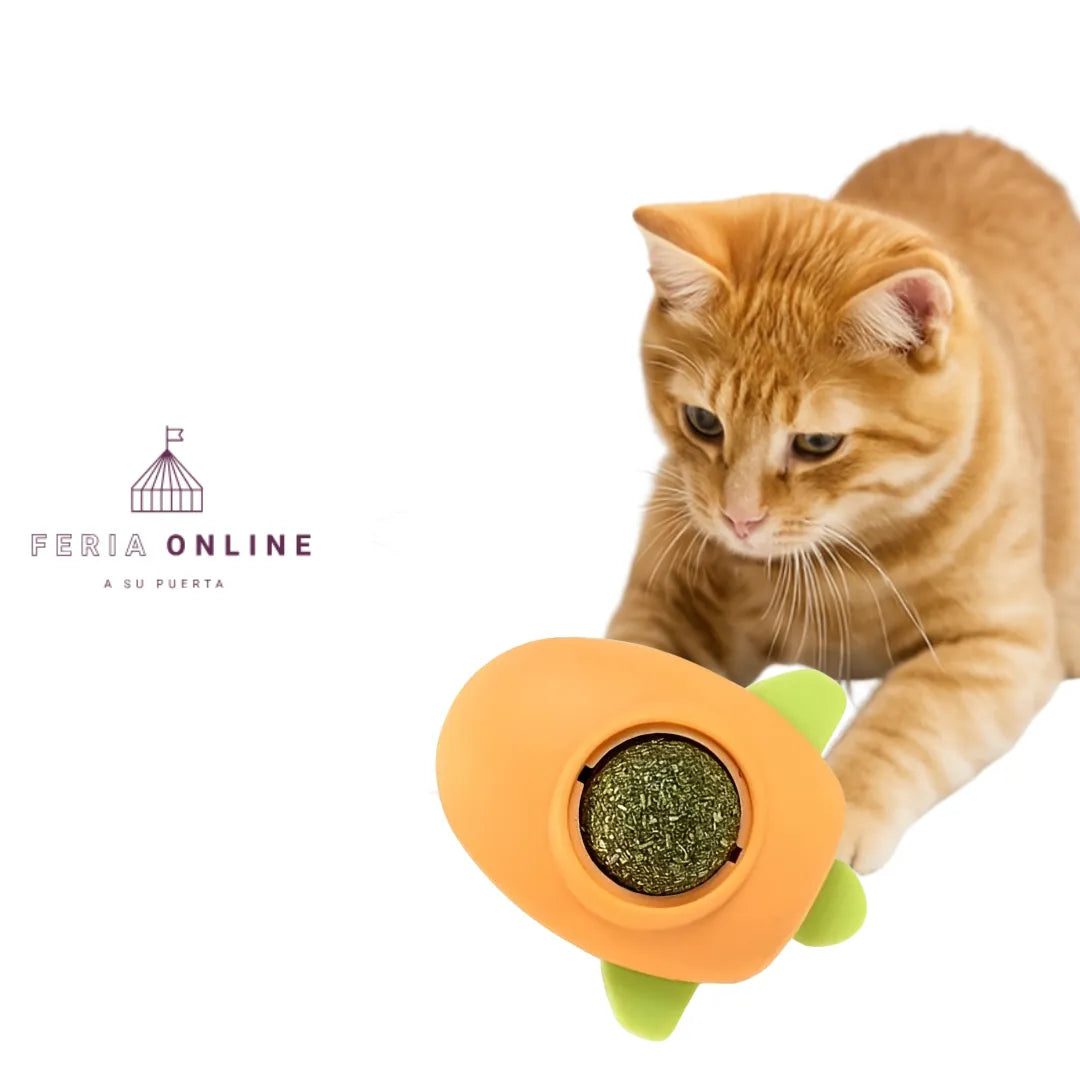 Catnip Para Gatos