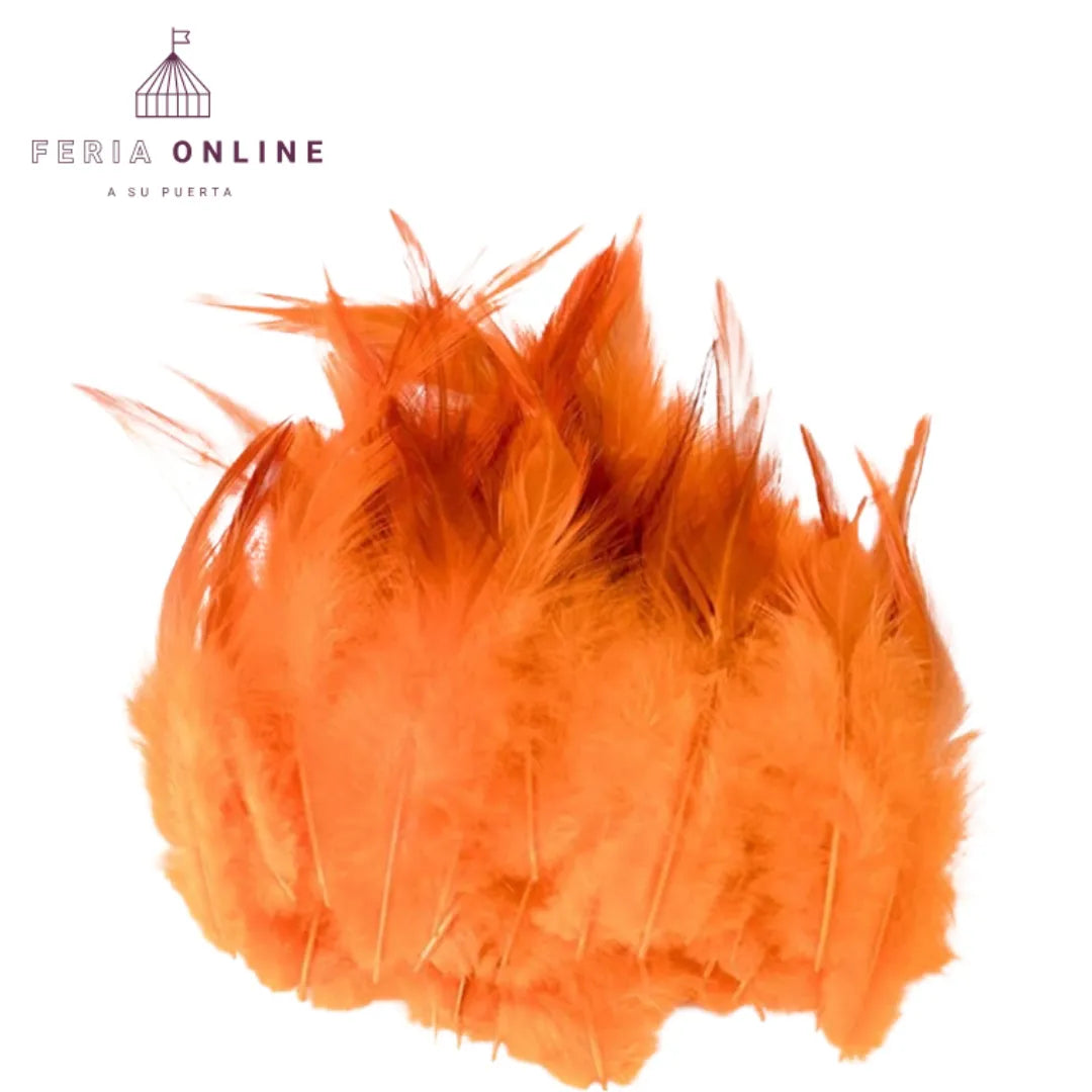 Plumas Pequeñas