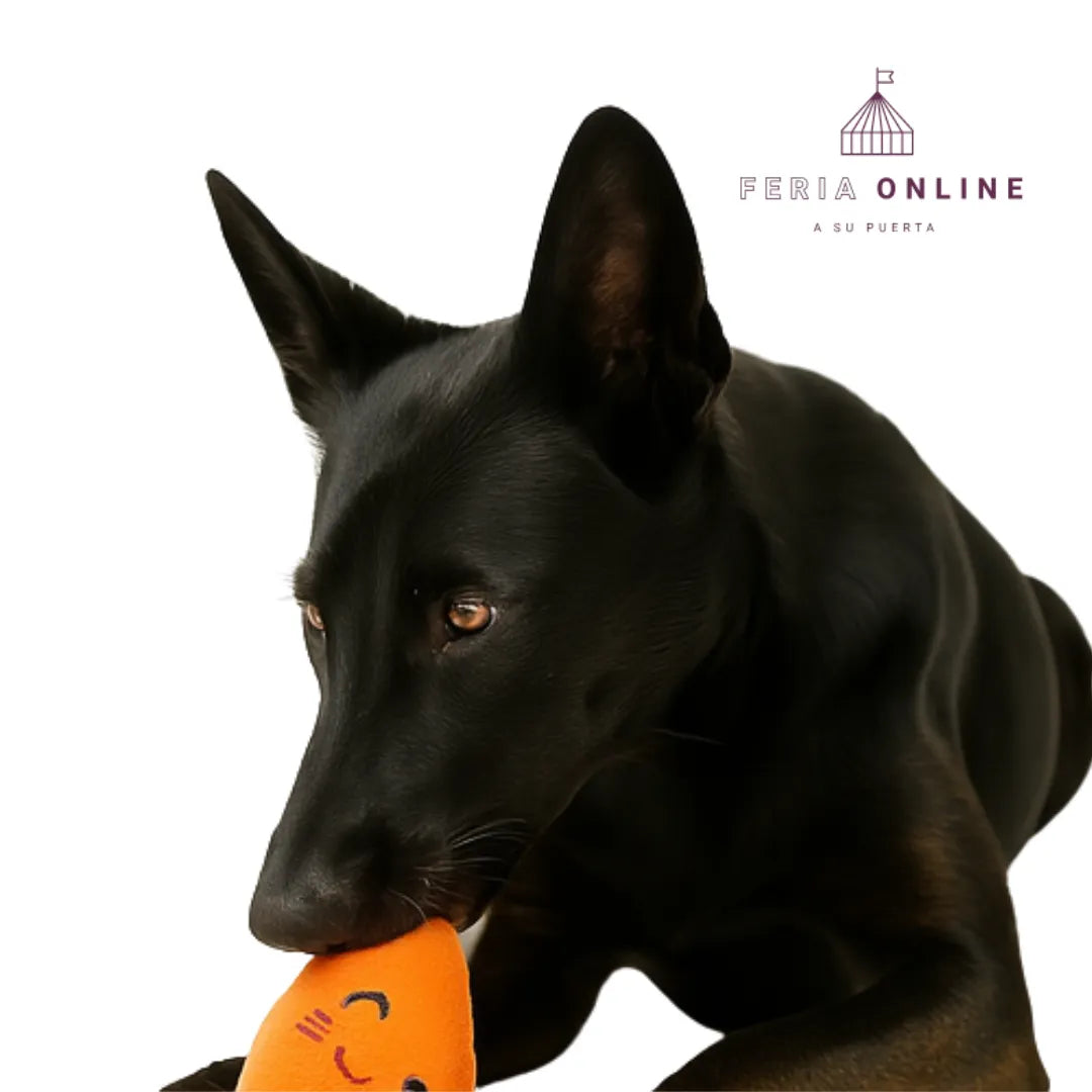 Juguete Peluche De Zanahoria Para Perros