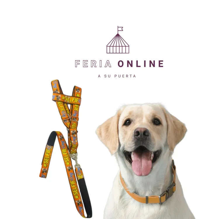 Pechera Cocida Jumbo