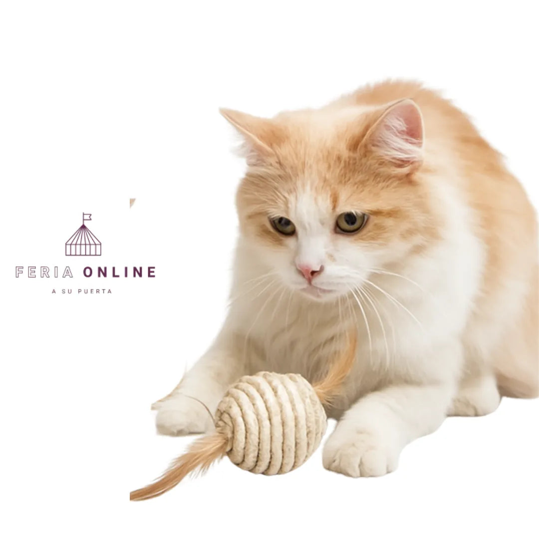 Pelota Para Gato En Sisal Con Pluma