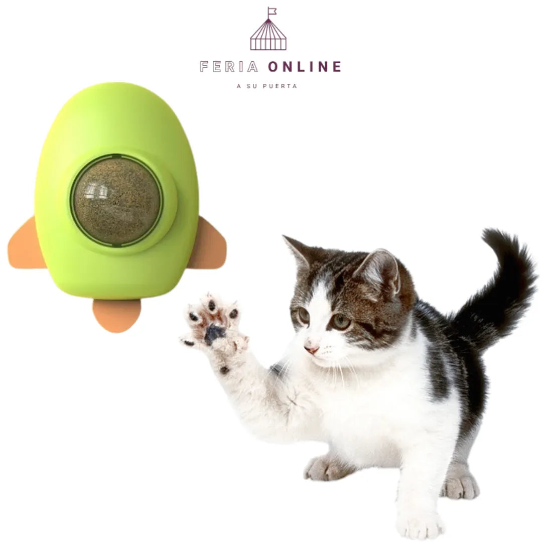 Catnip Para Gatos