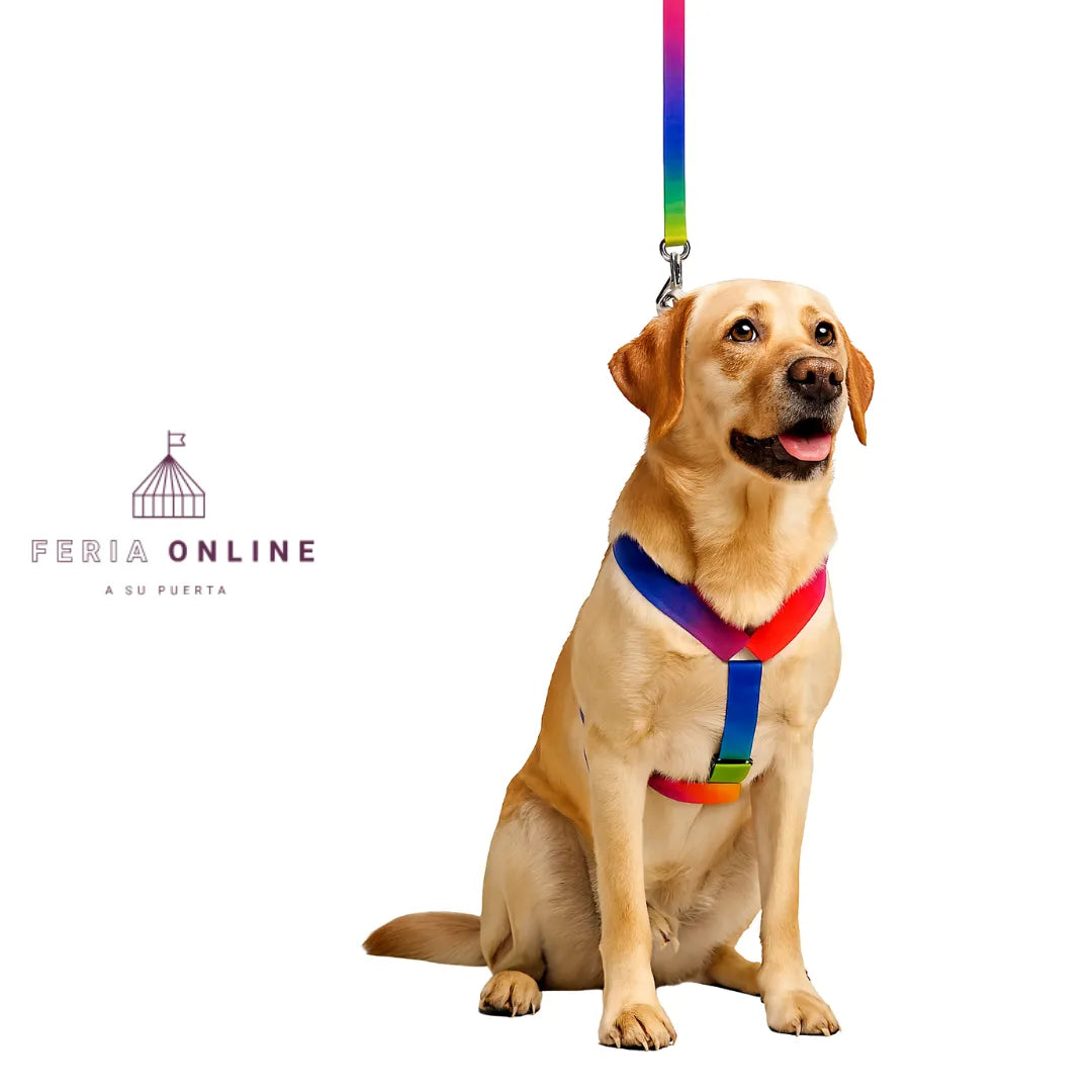 Arnes Multicolor