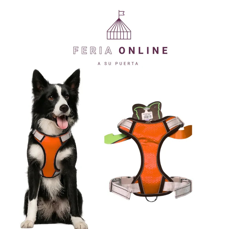 Pechera En Nylon Para Mascota Colores Surtidos