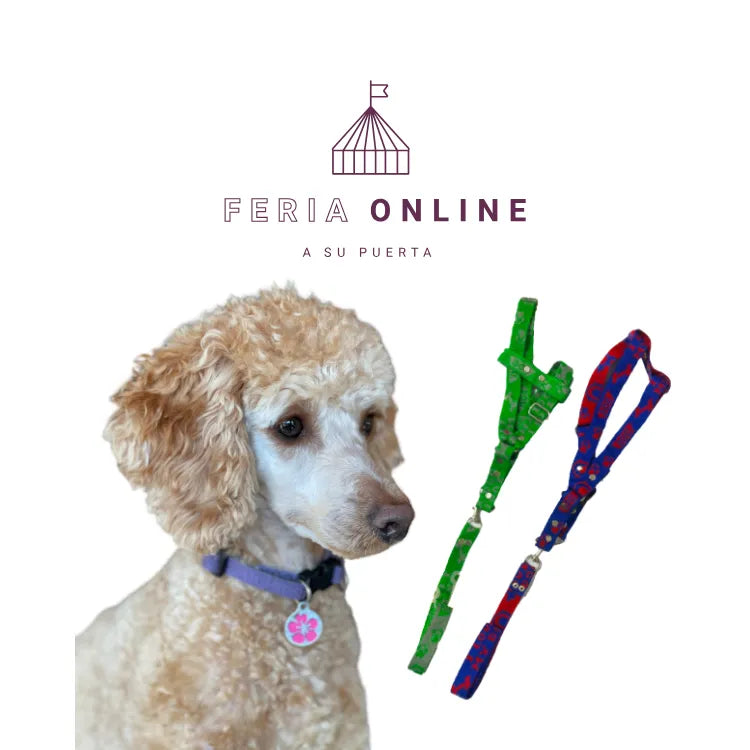 Collar Surtido Cerrado