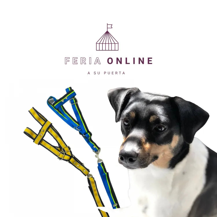 Collar Cinta Punteada Grande