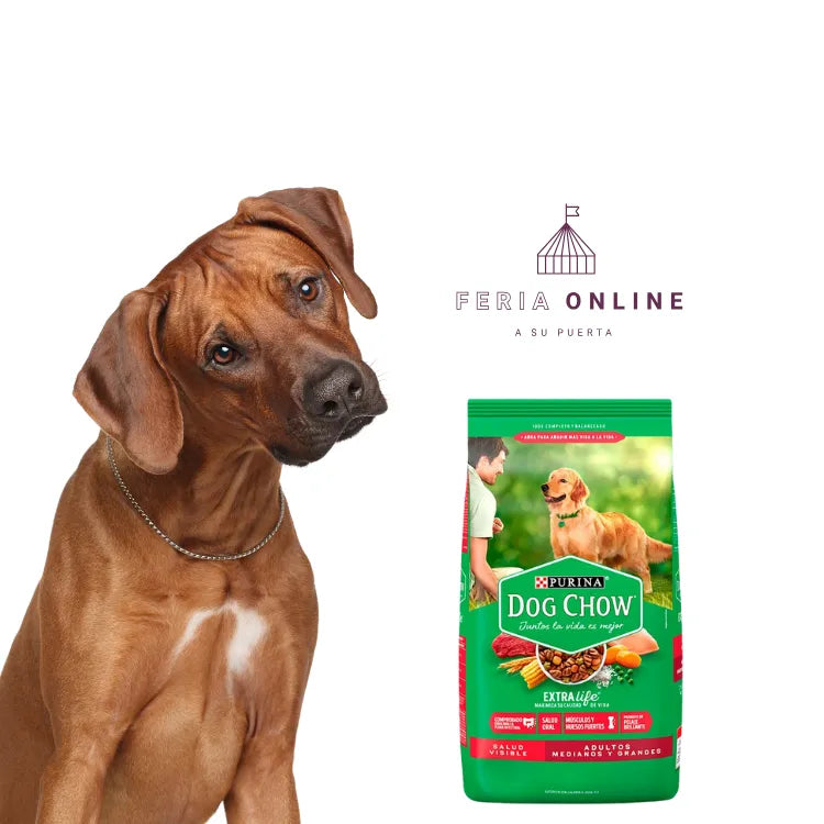 Dog Chow Adultos Medianos y Grandes