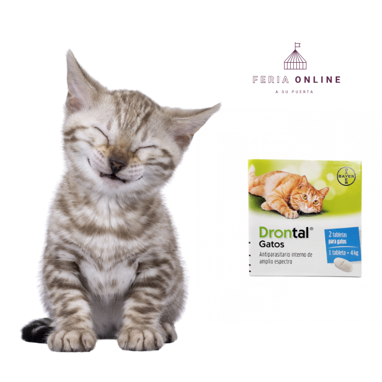 Antiparasitario Interno Drontal Ps Para Gatos En Tabletas