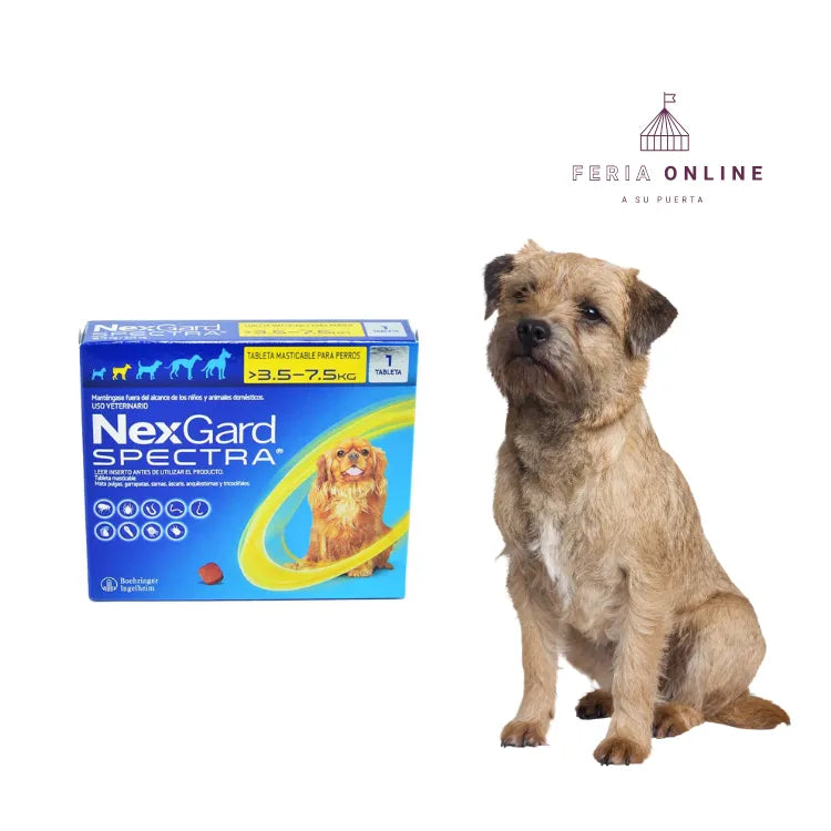 Nexgard Spectra Tableta Masticable - Antipulgas y Antiparasitario