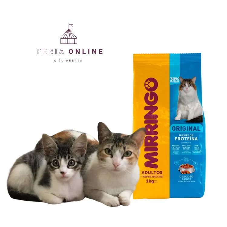 Mirringo Gato Adulto