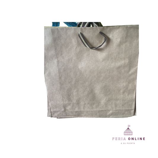 Bolsa De Regalo Kraft Lisa Grande Eco