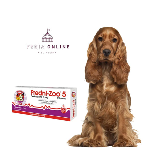 Predni-Zoo - Antiinflamatorio