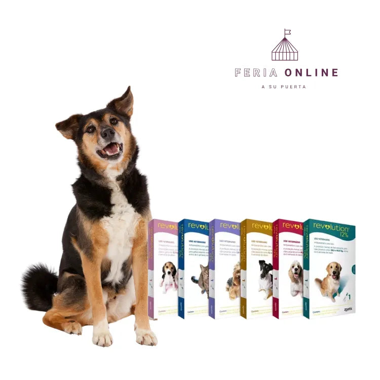 Desparasitante Revolution Selamectina para Perros
