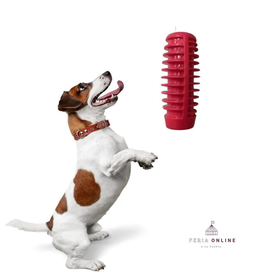 Rasca Encías Cilindro 12 CM Para Perro