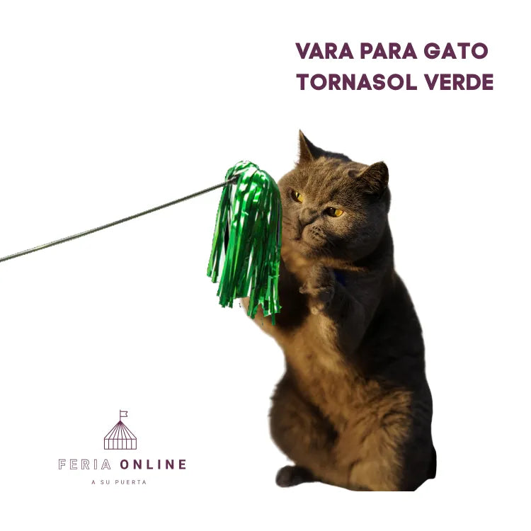 Varas para Gato Tornasol