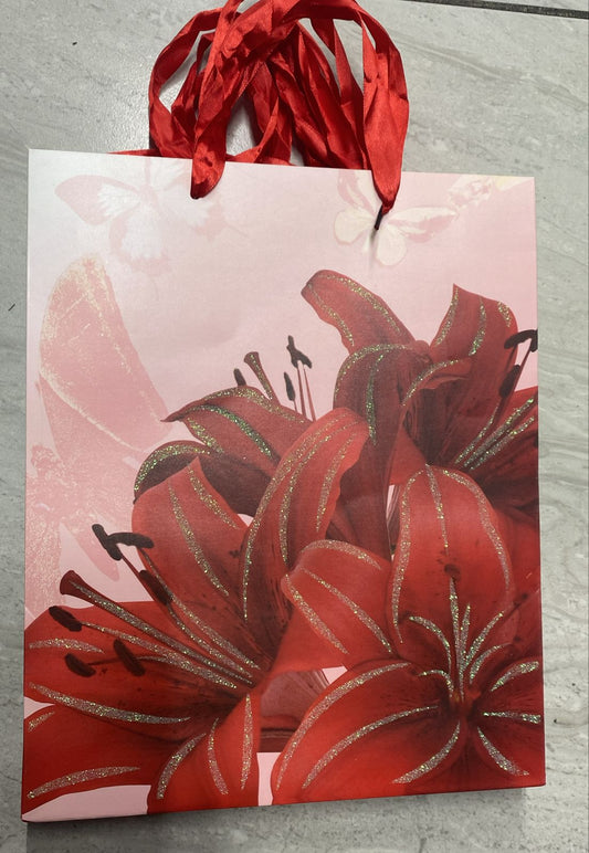 BOLSA REGALO GDE