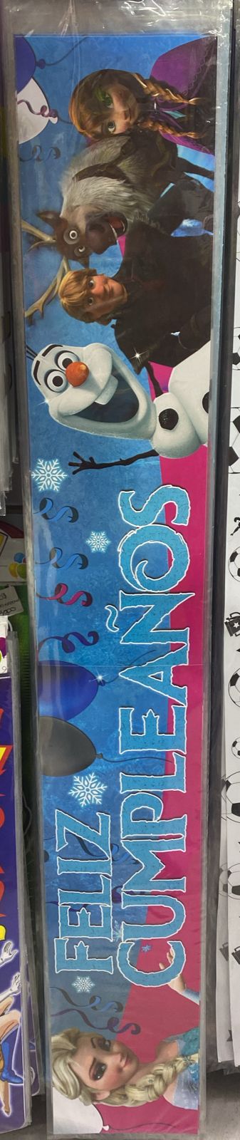 BANNER FROZEN