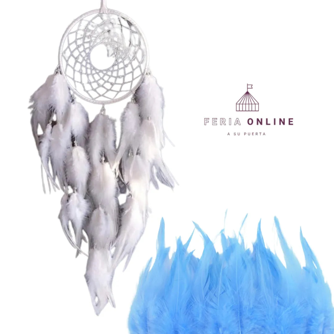 Plumas Pequeñas