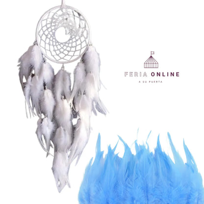 Plumas Pequeñas