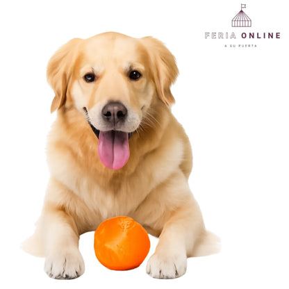 Juguetes Para Perros