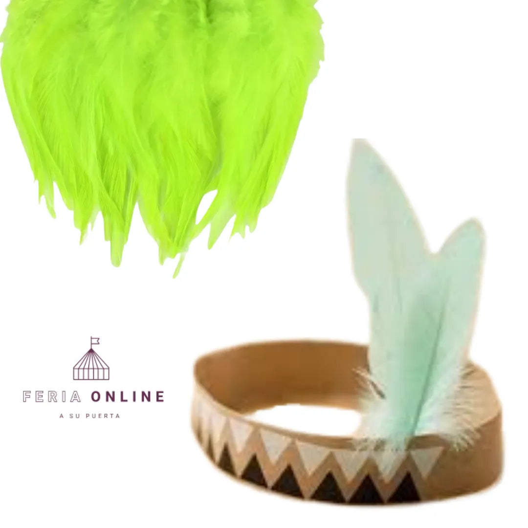Plumas Pequeñas