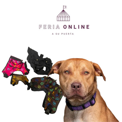 Chalecos Para Perro