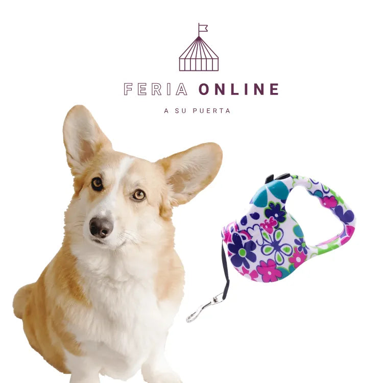 Correa Retráctil Estampada 3mt.