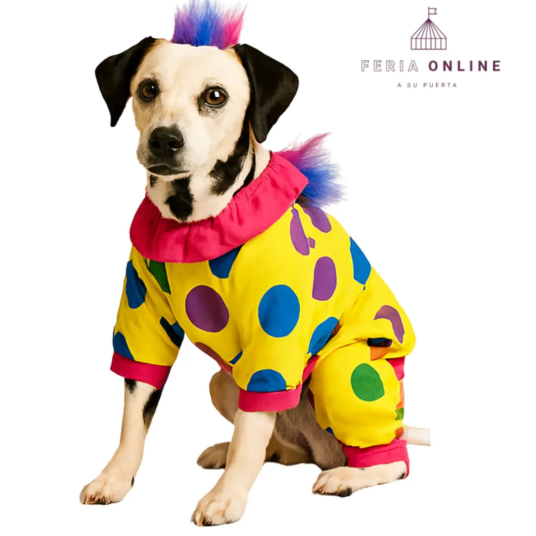 Disfraz De Payaso Malo