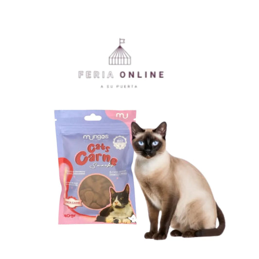 Galletas Cats Carne x 40 GR