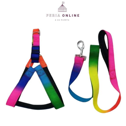 Arnes Multicolor