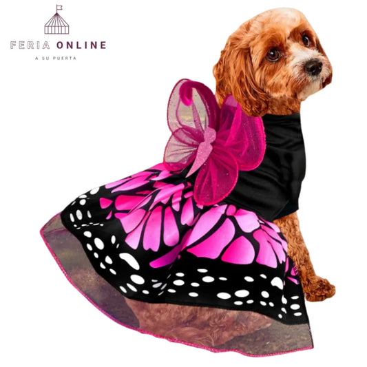 Disfraz De Mariposa