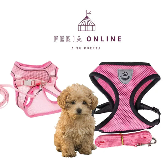 Correa Con Pechera