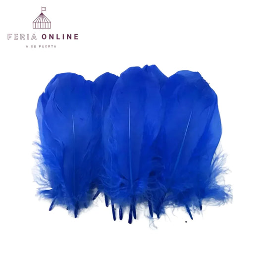 Plumas Pequeñas