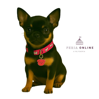 Cuello 3/4 Para Mascotas